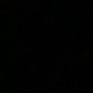 Meet your Posher, Starla